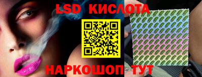 шишки Заволжье