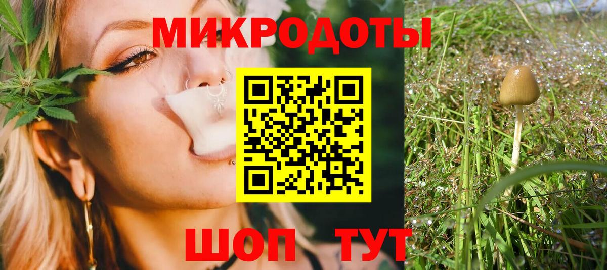 Псилоцибиновые грибы Magic Shrooms Магадан