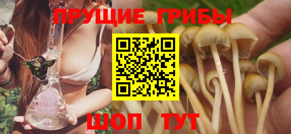 Галлюциногенные грибы мухоморы  Вход с VPN  Магадан 